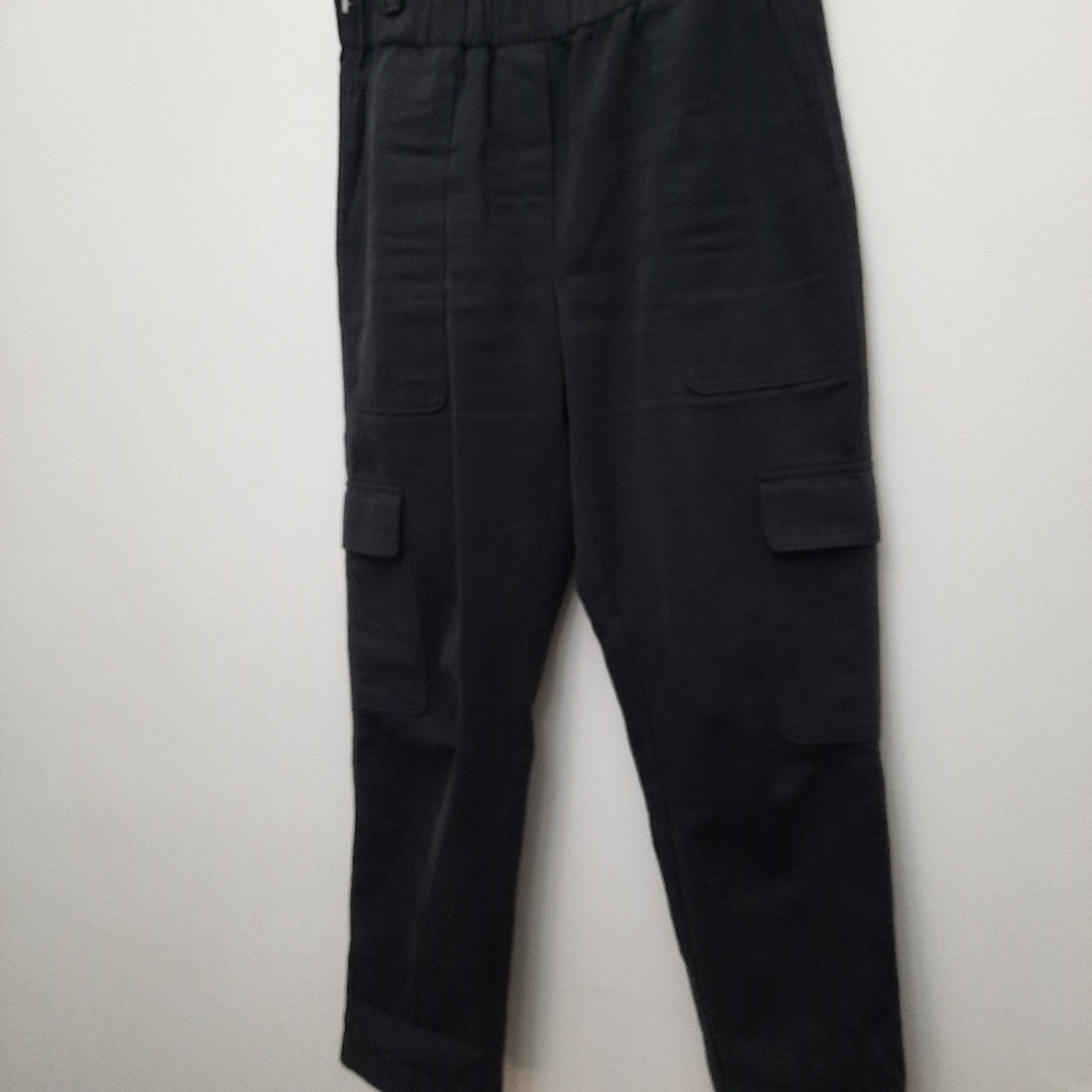 Aritzia Babaton Titan utility pants - Picture 6 of 14